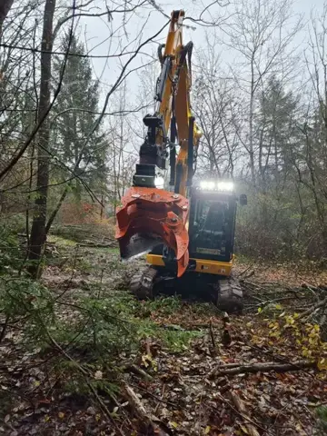 Baggerarbeiten im Gelände