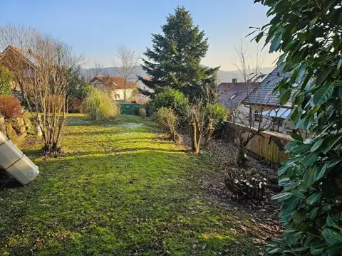 Gepflegte Gartenfläche mit zurückgeschnittenen Gehölzen