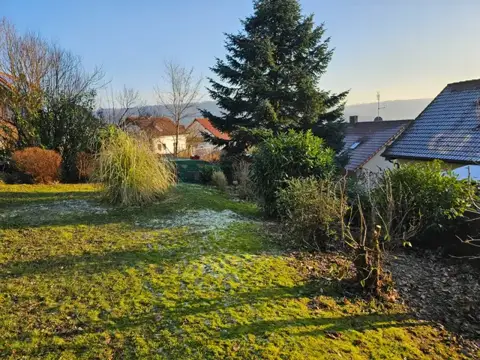 Rasen- und Gehölzflächen im Garten