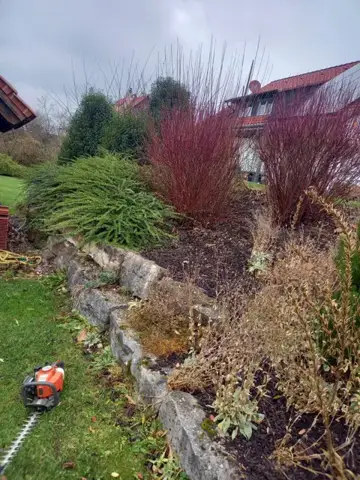 Strauchpflege im Vorgarten