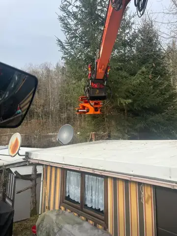 Baumarbeiten mit Fällgreifer