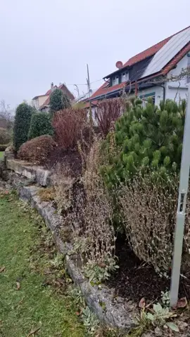 Rückschnitt im Garten am Haus