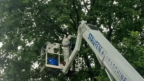Einsatz mit der Hubarbeitsbühne