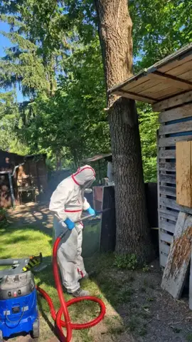 Absaugarbeiten im Garten