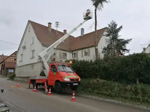 Baumpflege mit der Hubarbeitsbühne