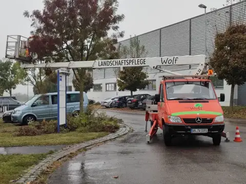 Gehölzarbeiten mit Hubarbeitsbühne