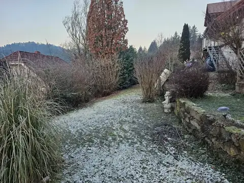 Gartenfläche mit Gehölzen und Natursteinmauer